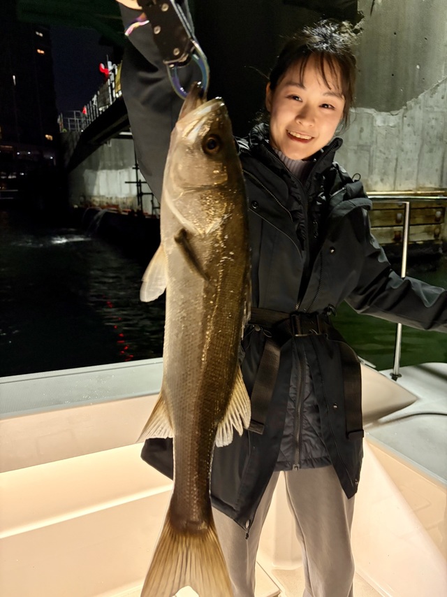 シーバス(スズキ)