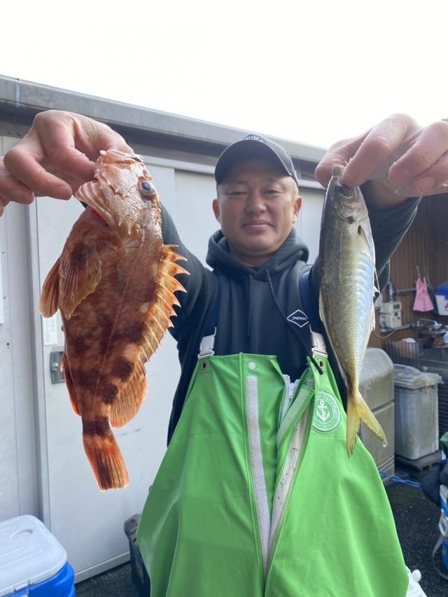 マアジ・カサゴ