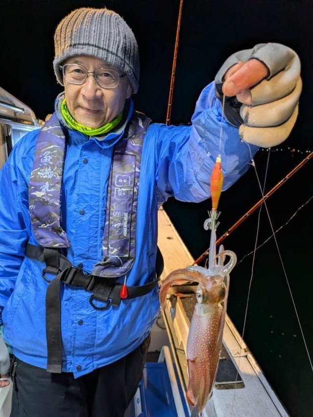 マルイカ(ケンサキイカ)