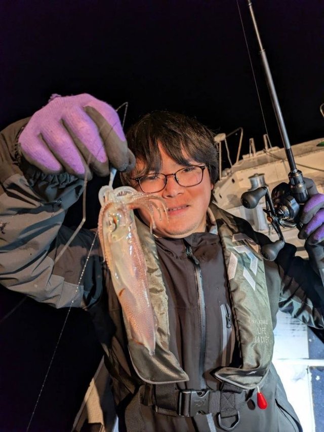 マルイカ(ケンサキイカ)