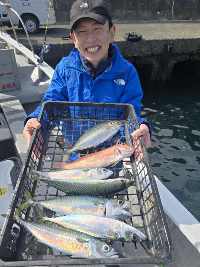 アジ(マアジ)・サバ(ゴマサバ)