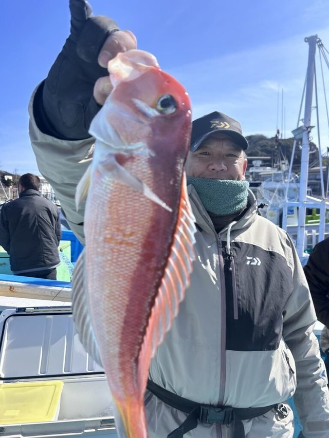 アマダイ(アカアマダイ)