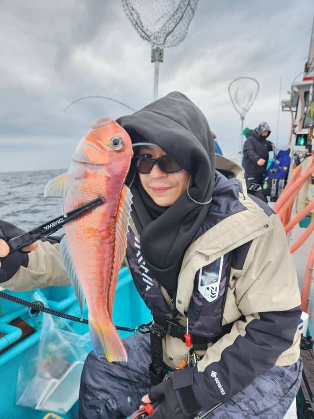 アマダイ(アカアマダイ)