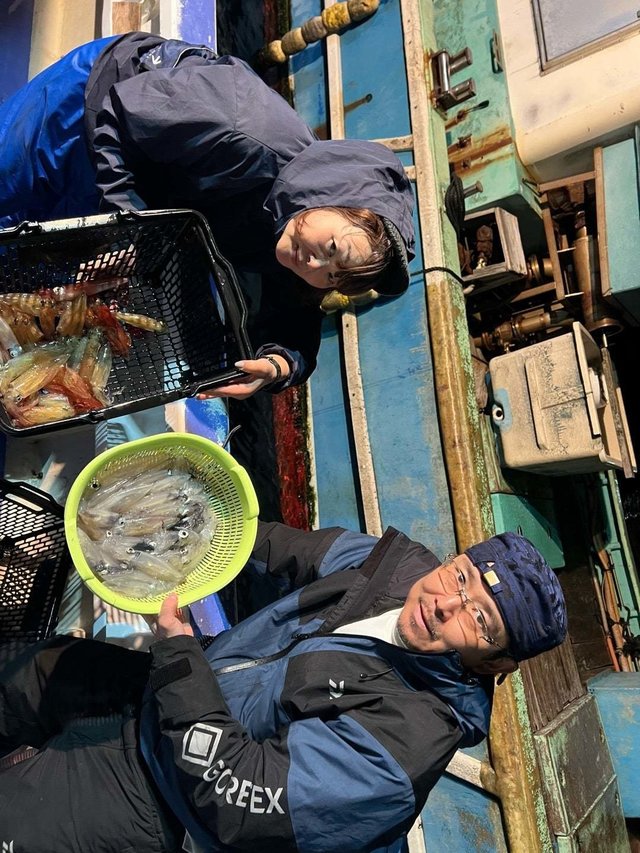 マルイカ(ケンサキイカ)