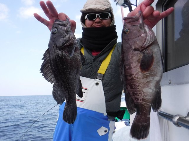 ソイ(クロソイ)・ハタ(マハタ)