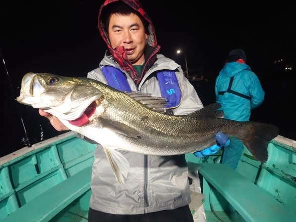 シーバス(スズキ)