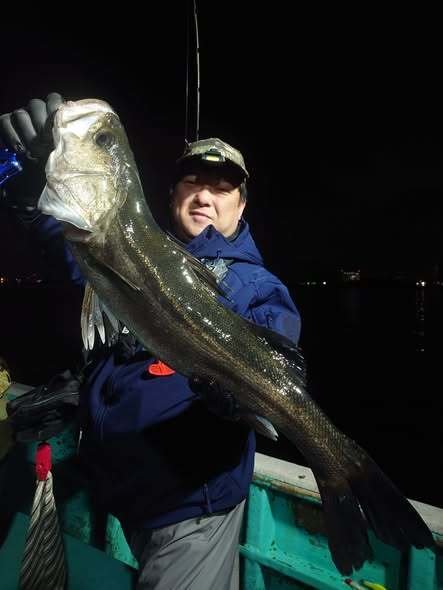 シーバス(スズキ)