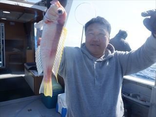 アマダイ(アカアマダイ)