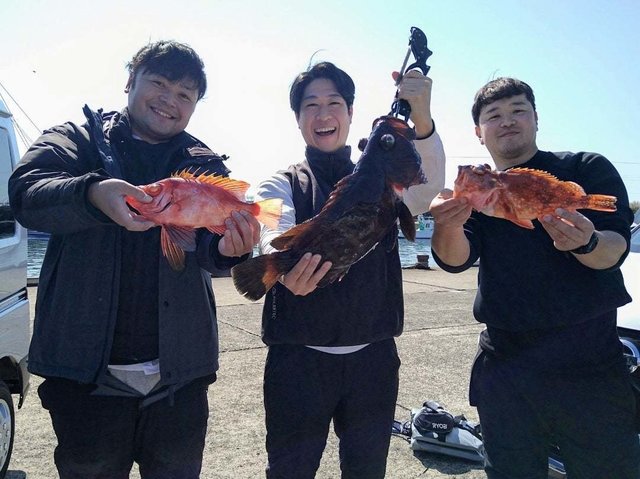 マハタモドキ・チカメキントキ・ウッカリカサゴ