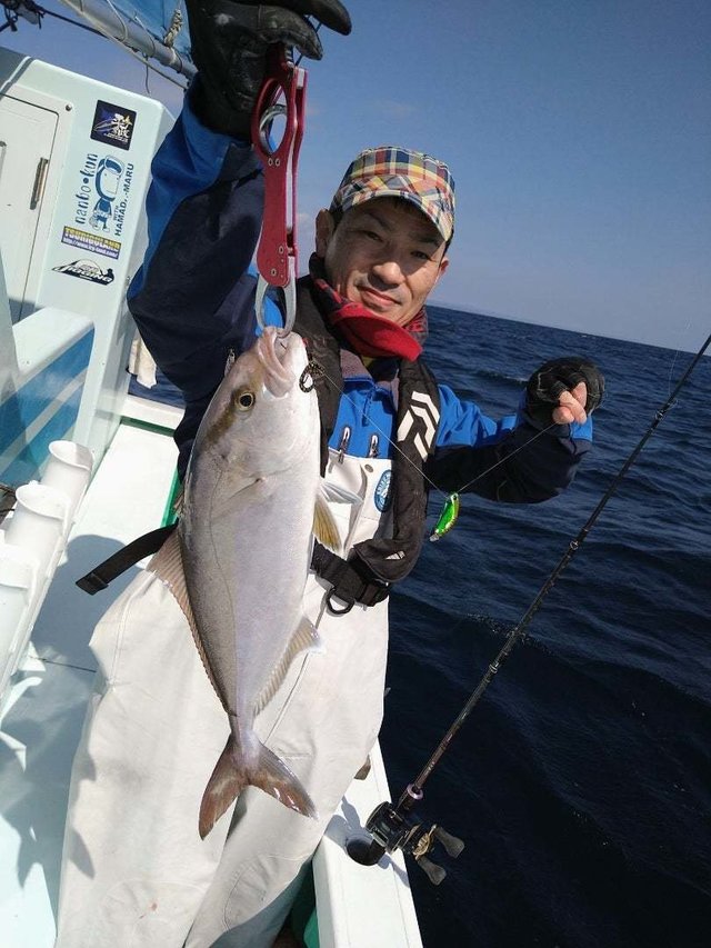 ショゴ(カンパチ)