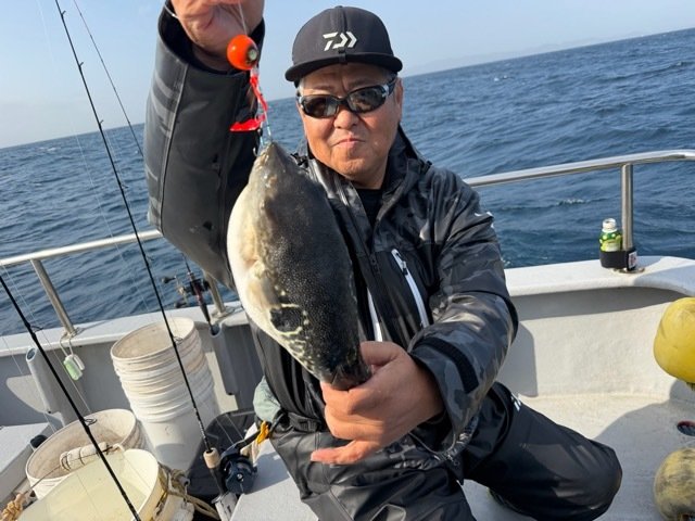 トラフク(トラフグ)