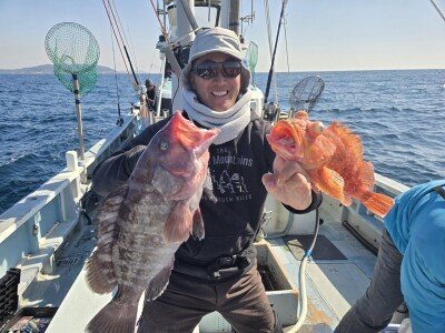 マハタ・カンコ(ウッカリカサゴ)