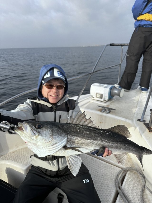 シーバス(スズキ)