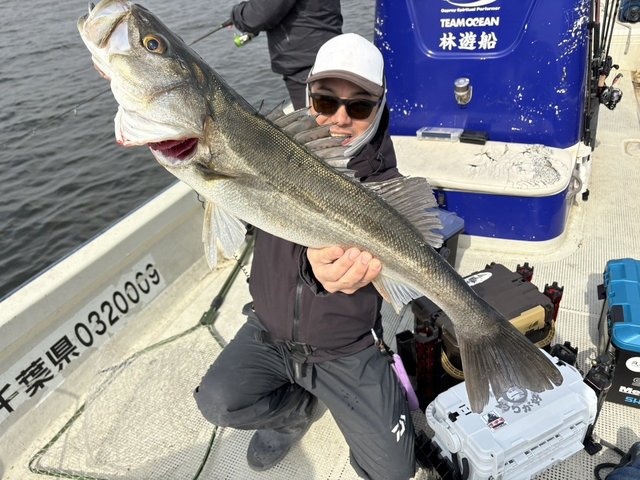 シーバス(スズキ)