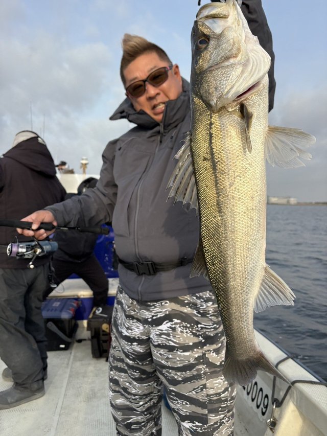 シーバス(スズキ)