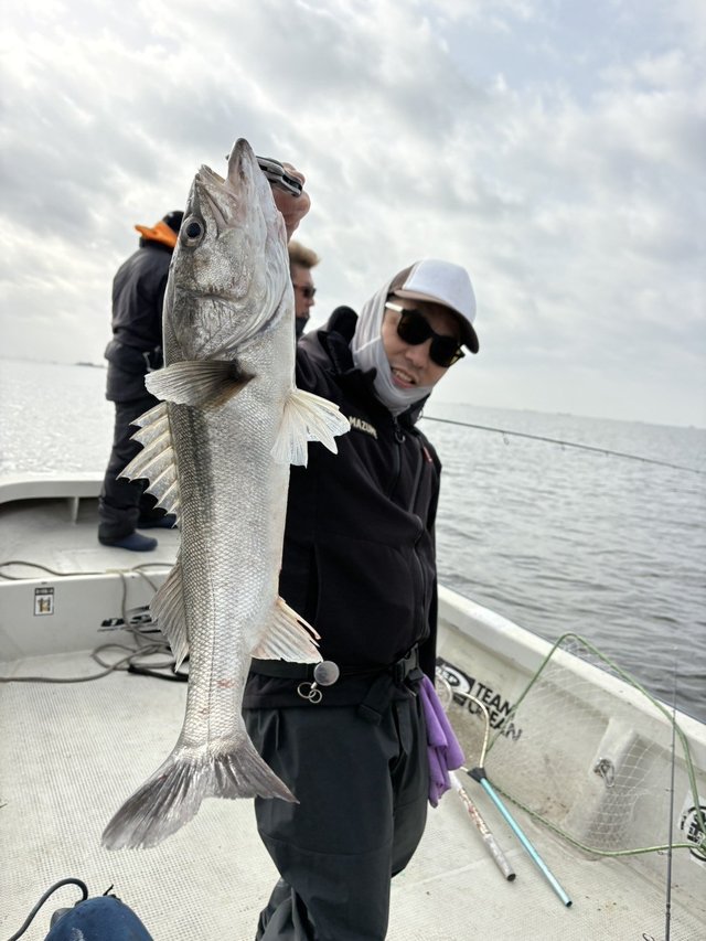 シーバス(スズキ)