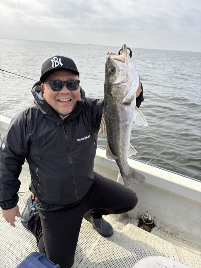 シーバス(スズキ)