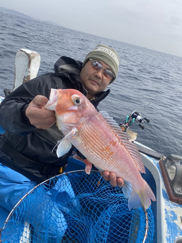 アマダイ(アカアマダイ)