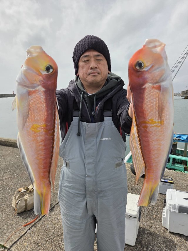 アマダイ(アカアマダイ)