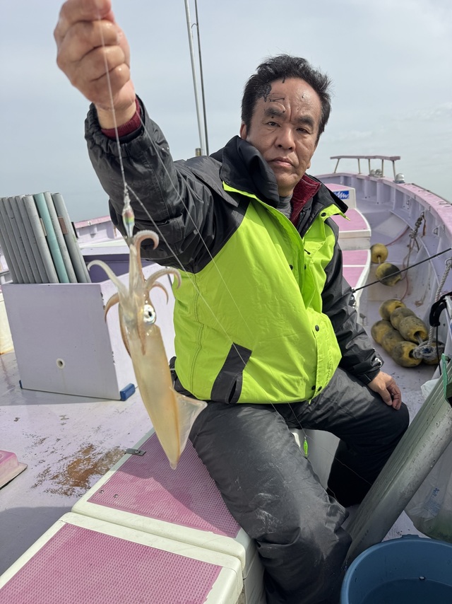 マルイカ(ケンサキイカ)