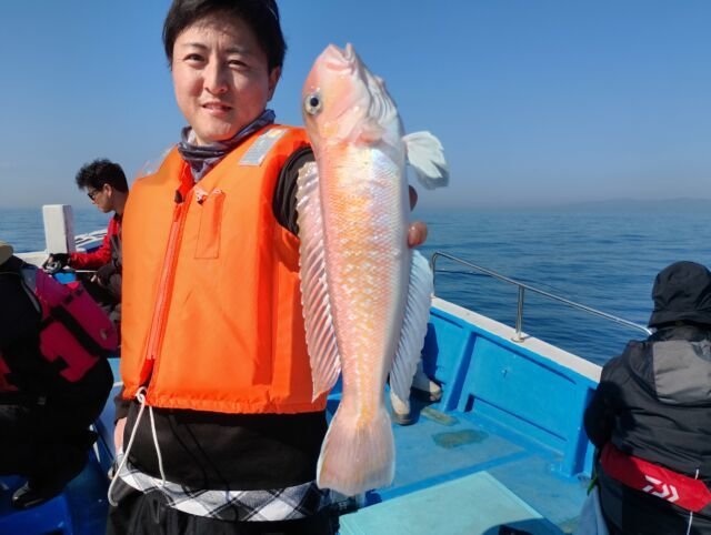 アマダイ(アカアマダイ)