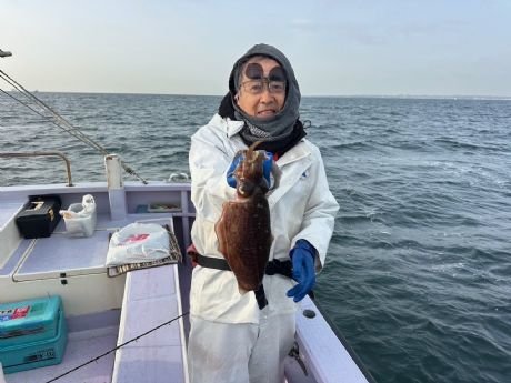 スミイカ(コウイカ)