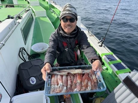 マルイカ(ケンサキイカ)