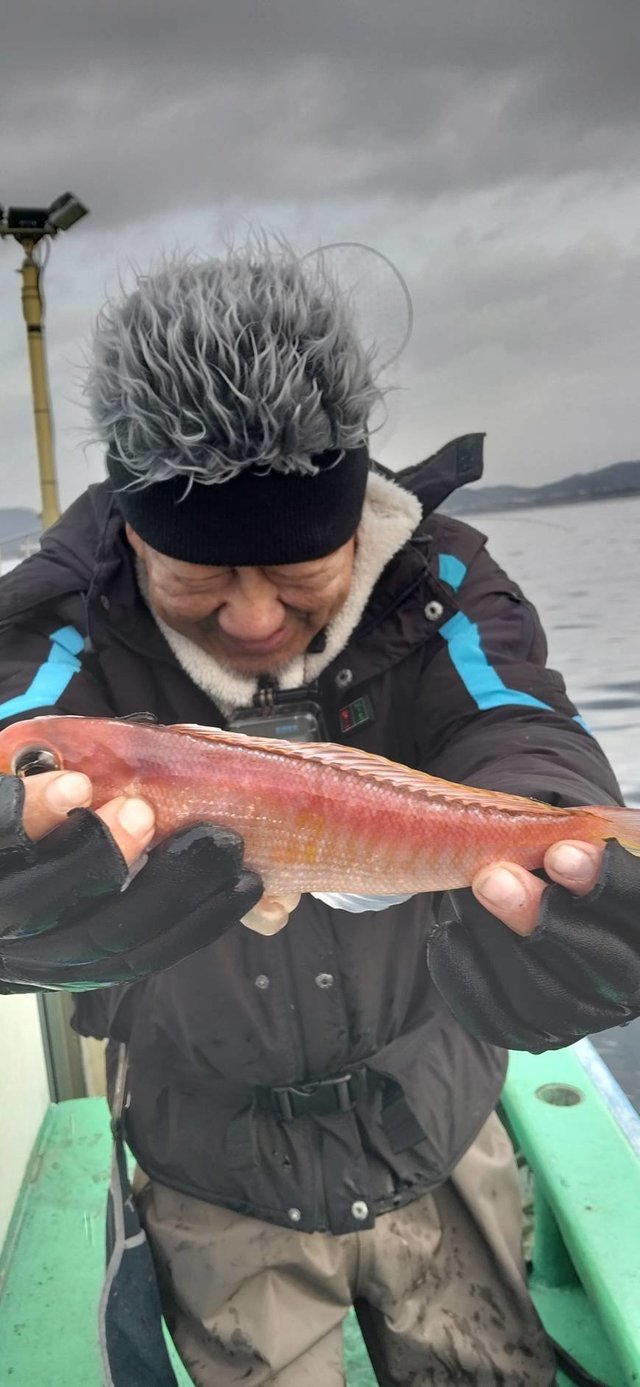 アマダイ(アカアマダイ)