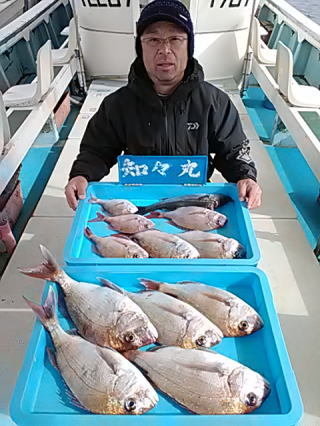 マダイ・ハネ(スズキ)