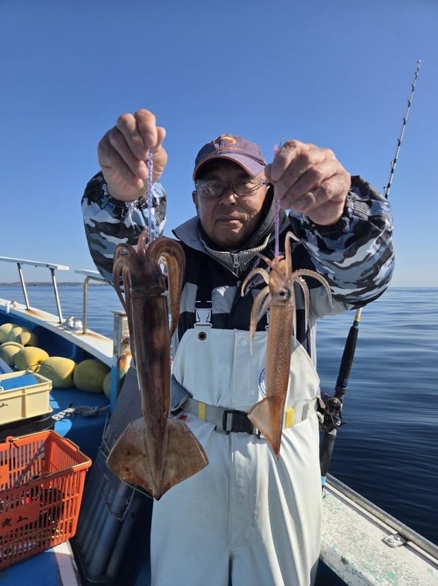 イカ(ケンサキイカ)