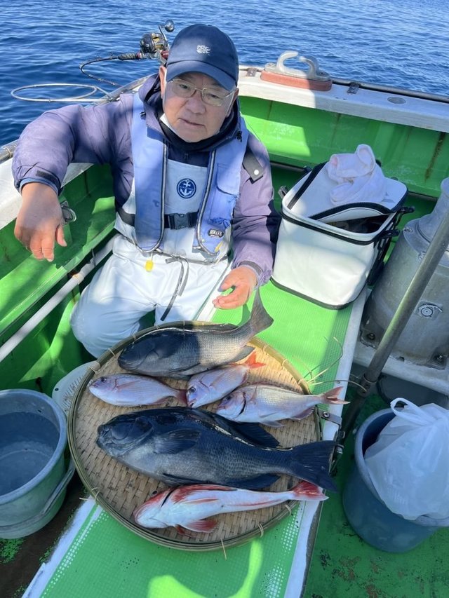 ハナダイ(チダイ)・メジナ