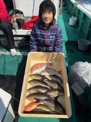 イサギ(イサキ)