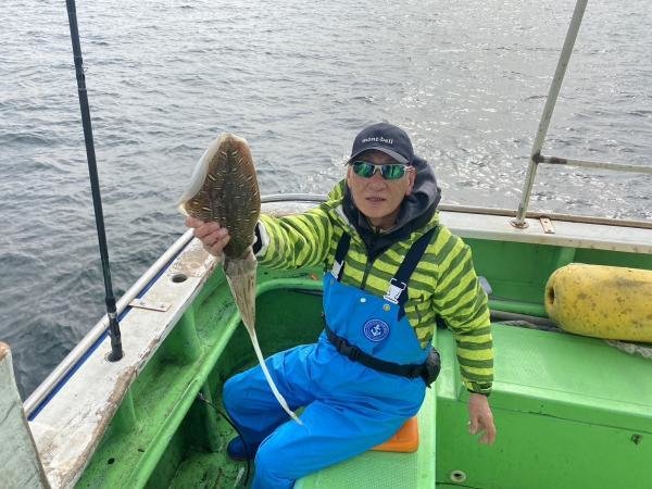 モンゴウイカ(カミナリイカ)