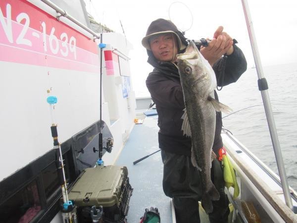 シーバス(スズキ)