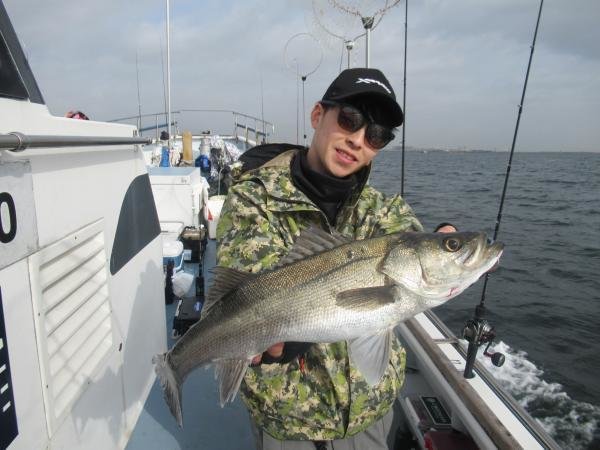 シーバス(スズキ)