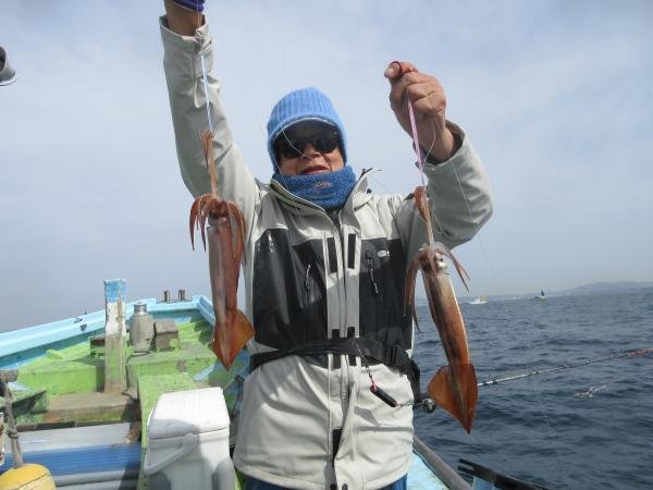 スルメイカ