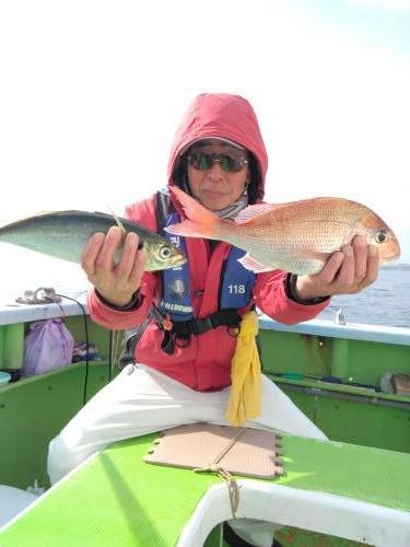 マダイ・ハマチ(ブリ)