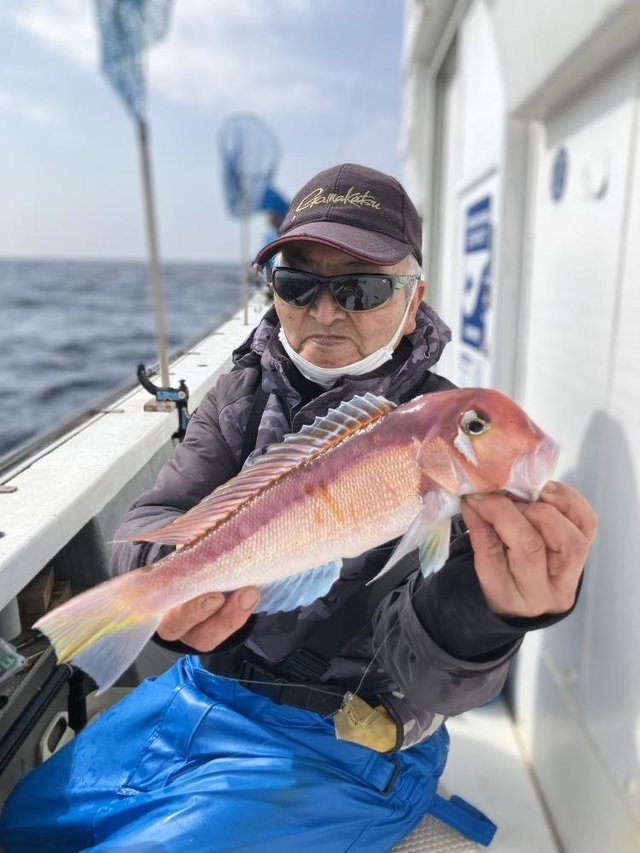 アマダイ(アカアマダイ)