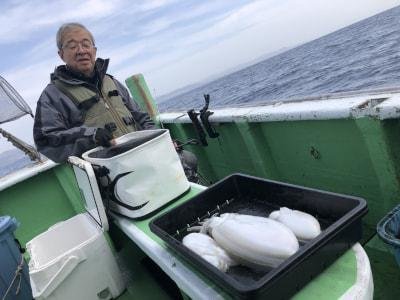 モンゴウイカ(カミナリイカ)