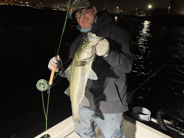 シーバス(スズキ)