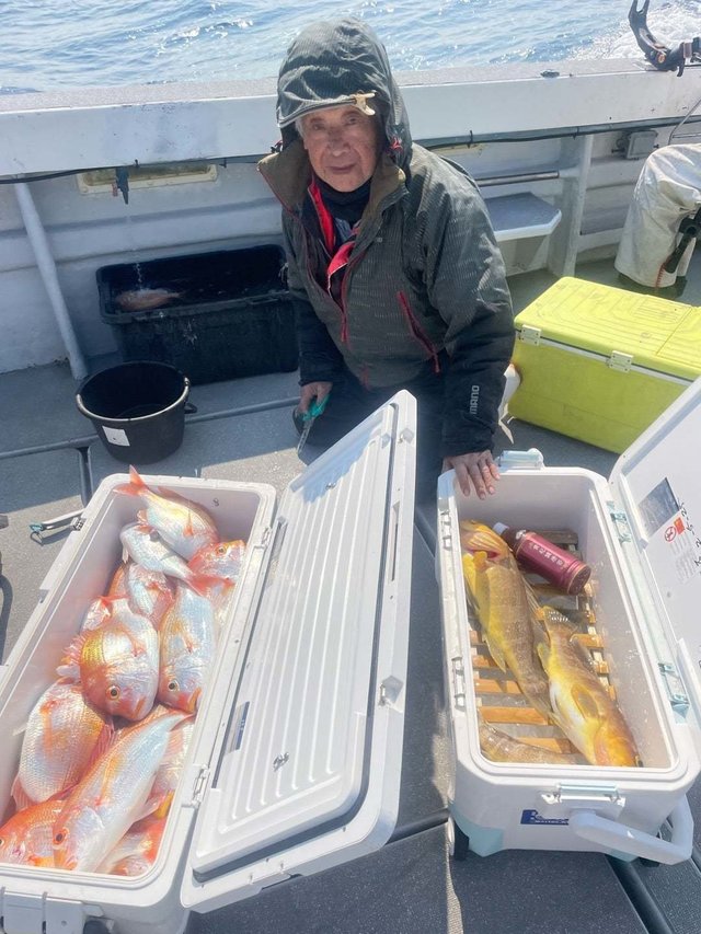 レンコダイ(キダイ)・アオナ(アオハタ)