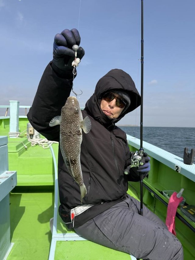 フグ(ショウサイフグ)