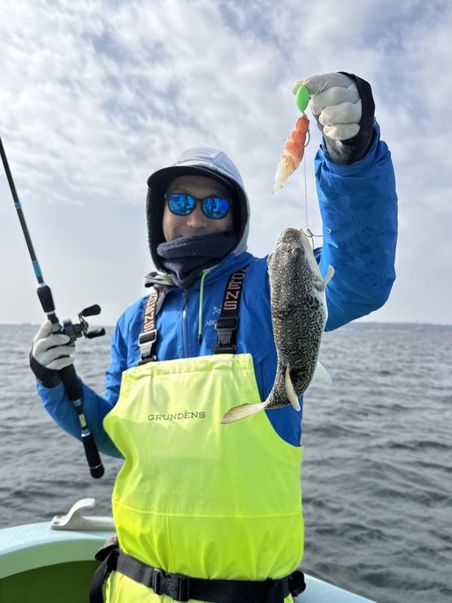 フグ(ショウサイフグ)