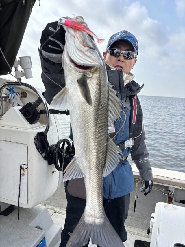 シーバス(スズキ)