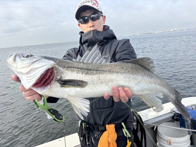 シーバス(スズキ)