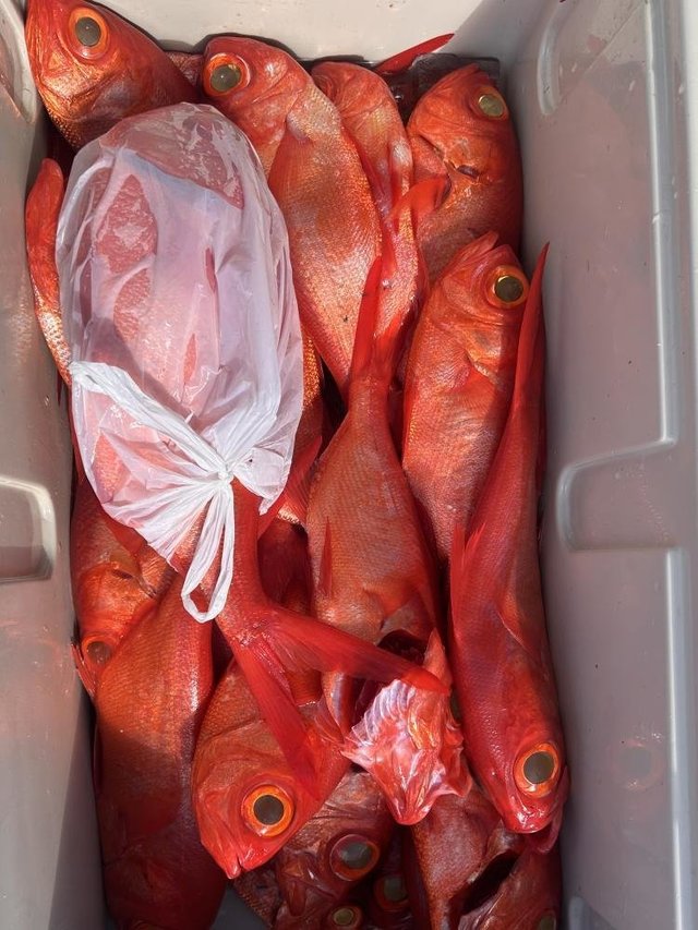 キンメ(キンメダイ)