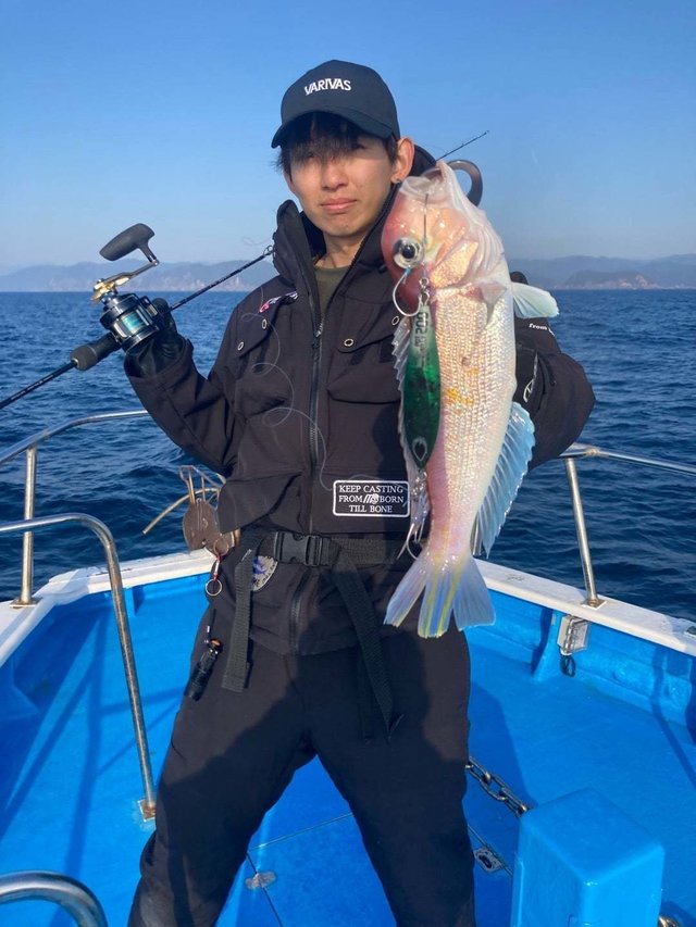 アマダイ(アカアマダイ)