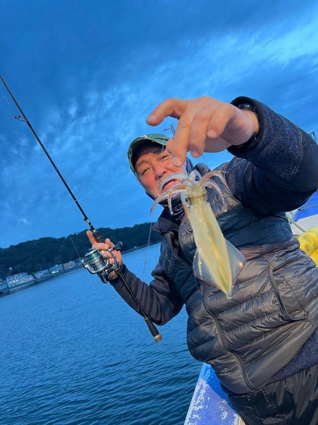 マルイカ(ケンサキイカ)