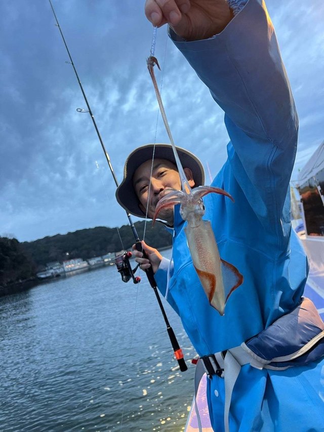 マルイカ(ケンサキイカ)