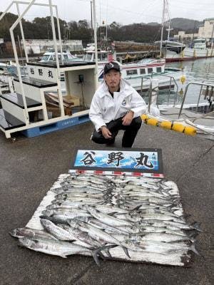 サゴシ(サワラ)・ヤナギ(サワラ)